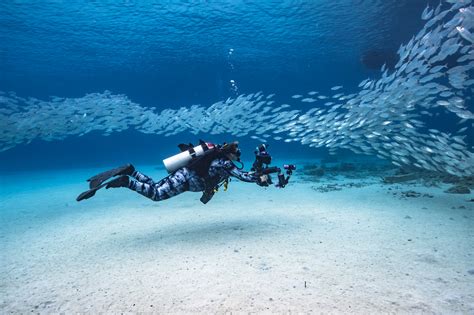 Snorkeling Malta .